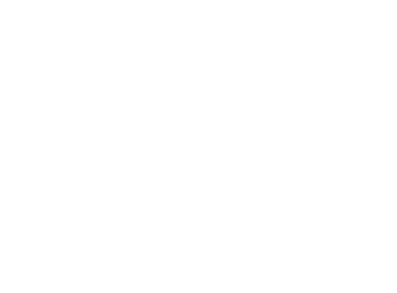 Logo Chibig blanco transparente